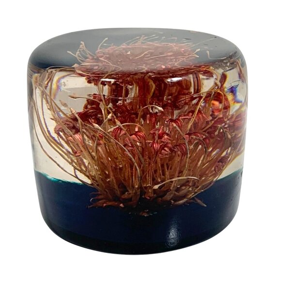 Vintage MCM Wild Thistle Flower Acrylic Resin Paperweight Handmade In Zimbabwe - Picture 2 of 7
